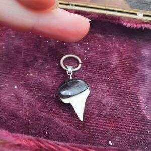 Sterling silver native shark tooth necklace‎ pendant